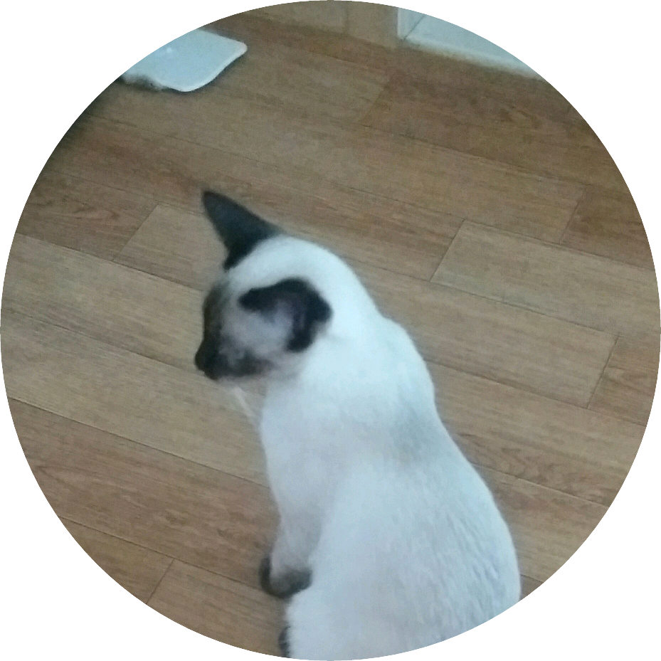 천사(작가친구) image