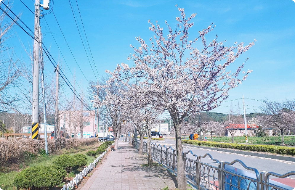 일찐에게 찍혔다! thumbnail