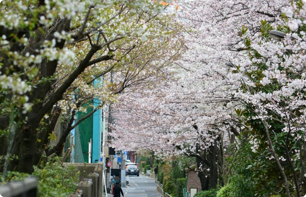 사과하고친구2 thumbnail