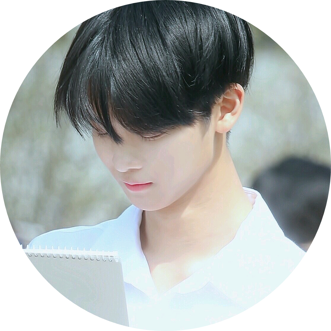 배진영 image