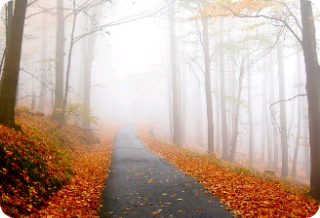 끝에는 너가 있기를 thumbnail