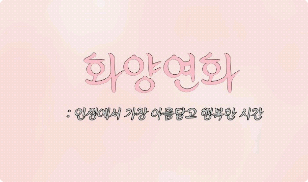화양연화 thumbnail