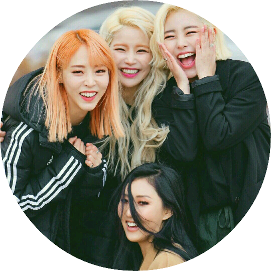 문,솔,휘,화 image