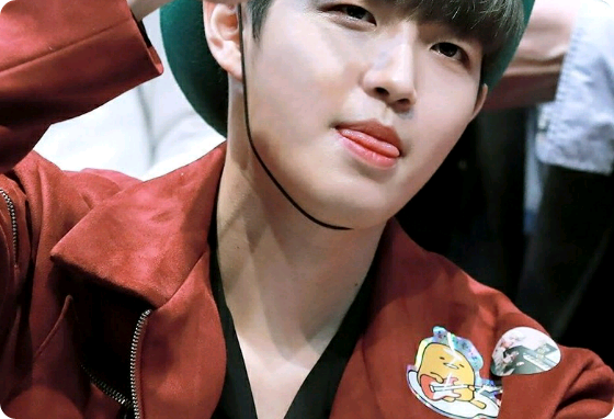 めちゃくちゃ thumbnail