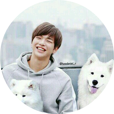 강다니엘 image