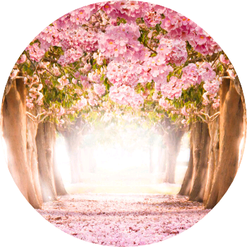 지훈이왕댯님작가 image