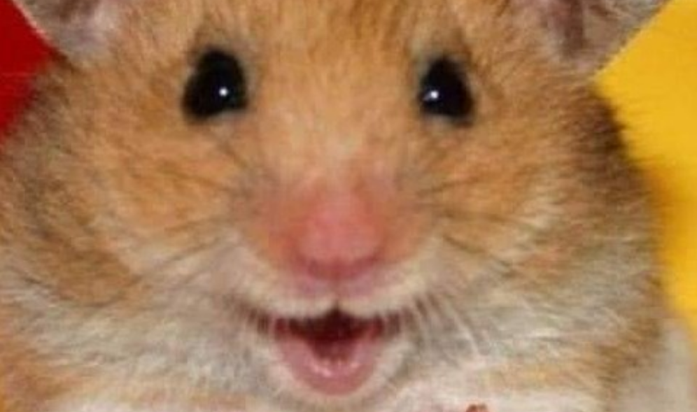 Love even if it makes you sad thumbnail