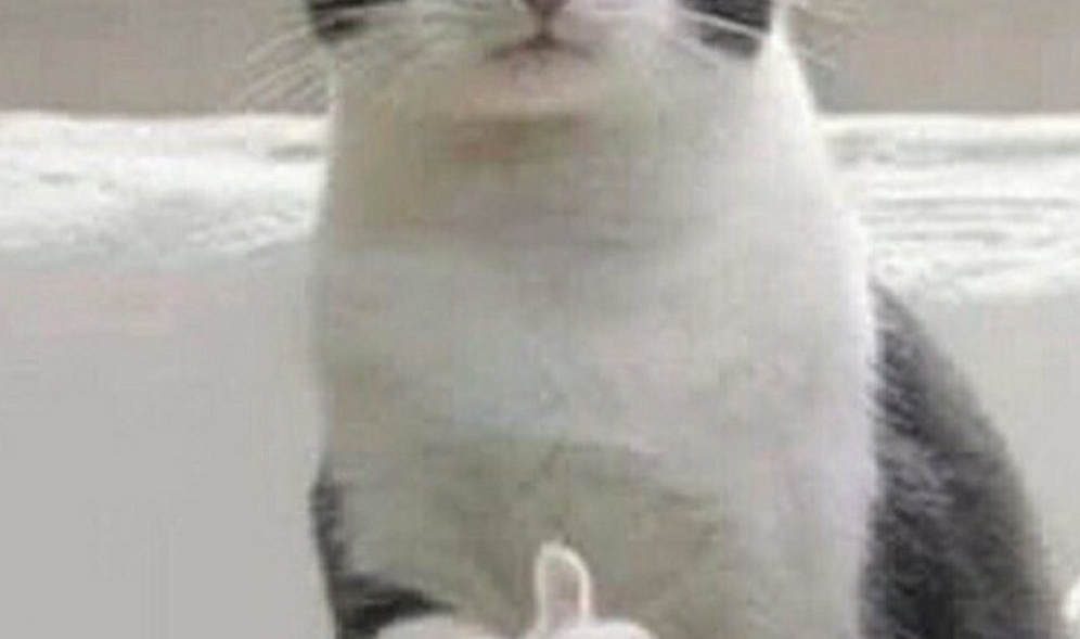 My dream is a strawberry princess thumbnail