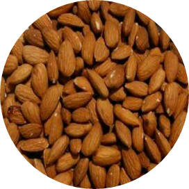 아몬드분들 image