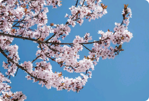 포토카드 광고 thumbnail