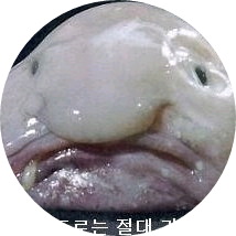 빅히트 image