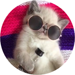 멍텅구리 작가 image