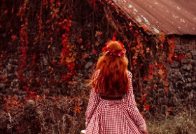 Dried Cherry Blossom thumbnail