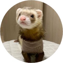 데미안 크룸 image