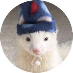 비주 들라크루 image