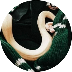 댕청한 작가 image