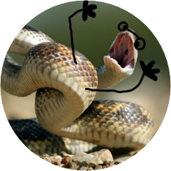 선우리하자까 image