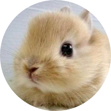 토끼(윤여주 image