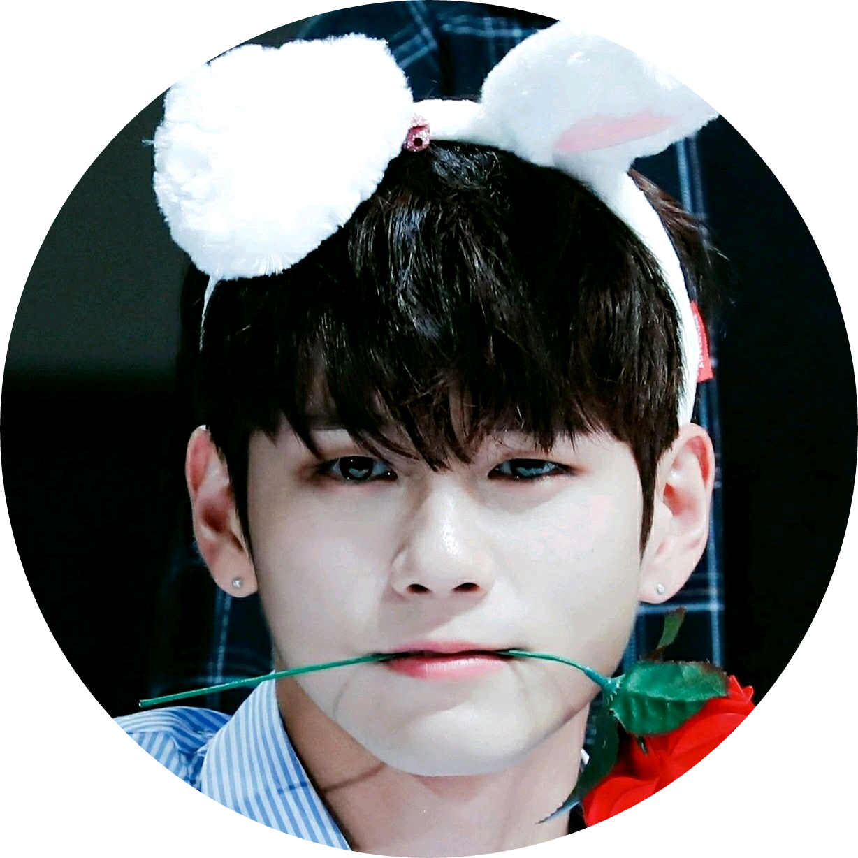 옹성우 image