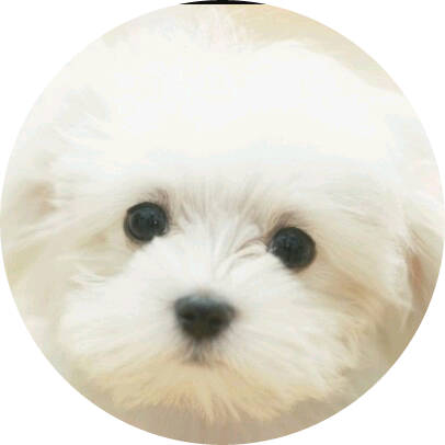 강아지 (침침) image