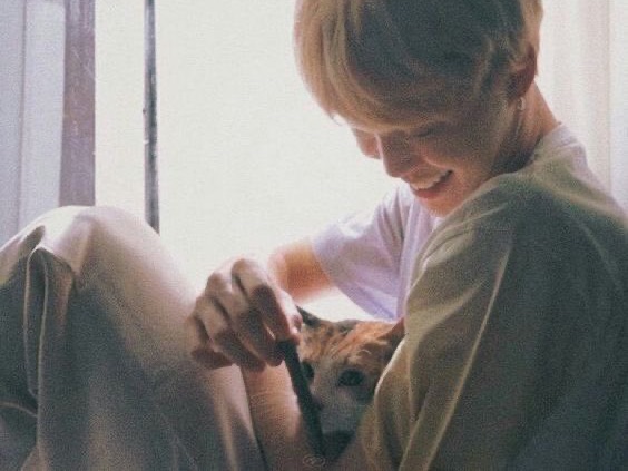 Tout cela n'était qu'un rêve thumbnail