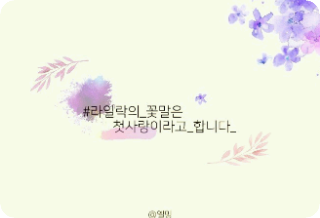 #The_flower_language_of_lilac_is_first_love_ thumbnail