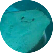 자까노무새끠 image