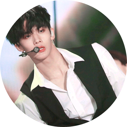 배진영 image
