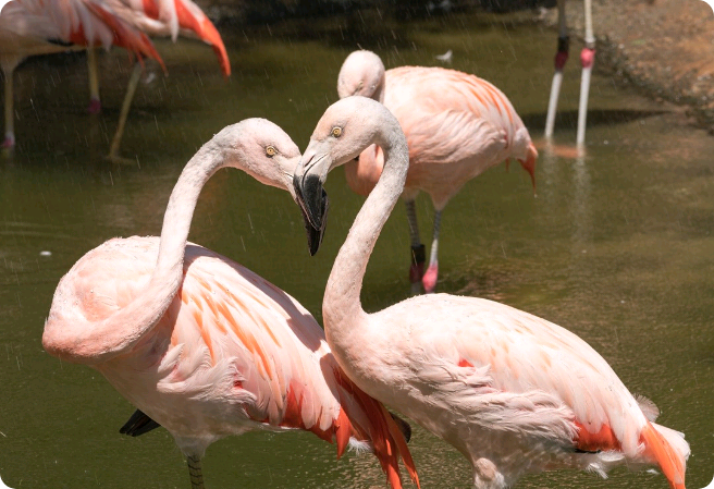 나는 누구를 선택을 할까? thumbnail