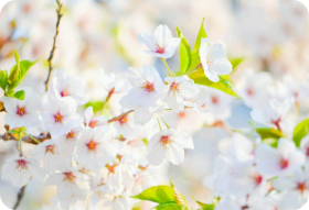 계획 되지 않은 우주 탐험 thumbnail