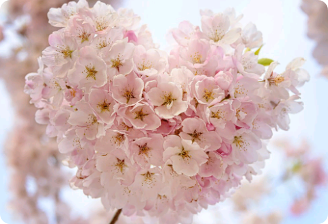 단편모음집 thumbnail