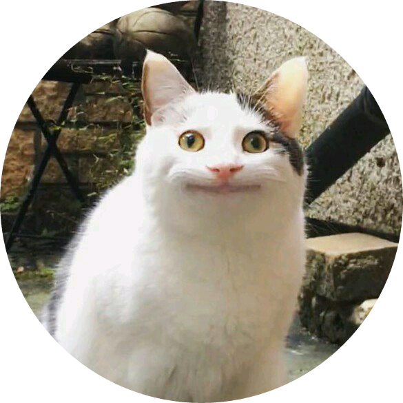 귀여운 아노 image