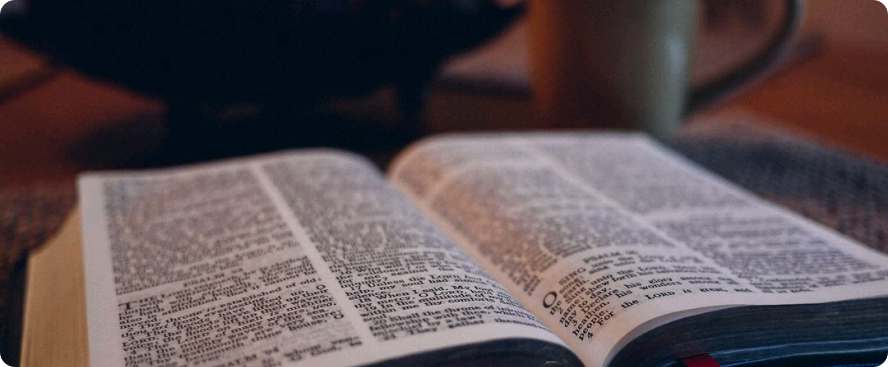 欺凌者与欺凌者之间的关系 thumbnail