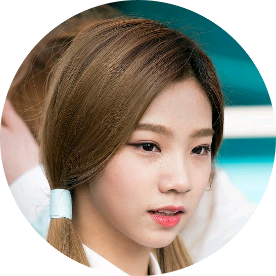 장미인 image