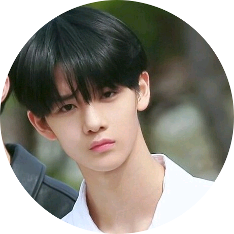 배진영 image