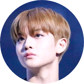 배진영 image
