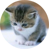JK image