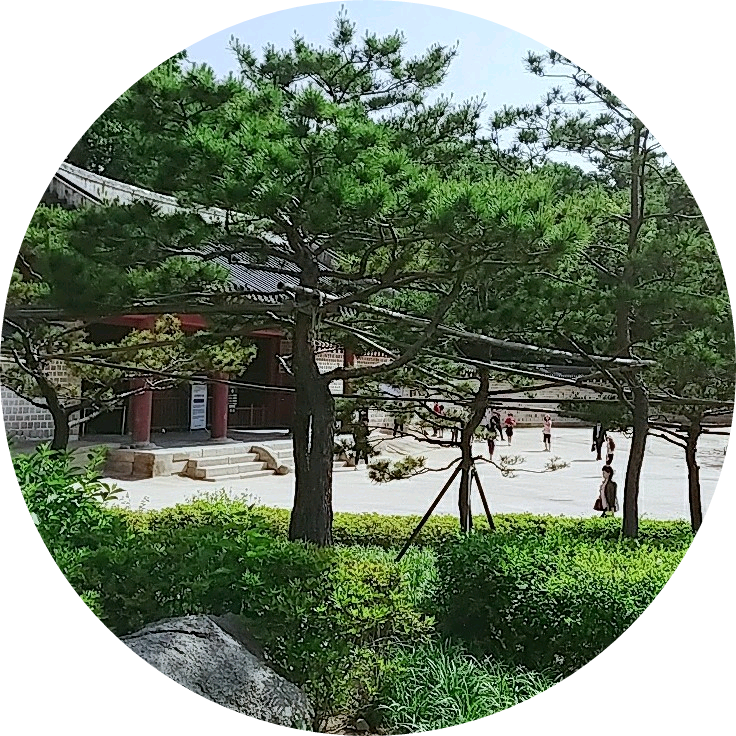 교장쌤 image
