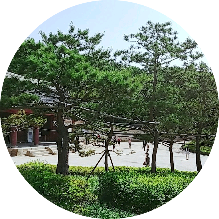 선생님 image