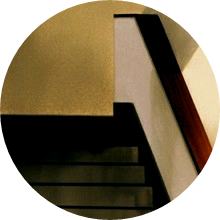 일진의 동료 image