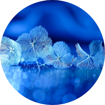 진왕자(여잡니다) image