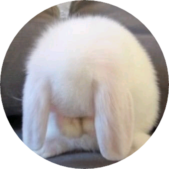 망개떡용사들 image