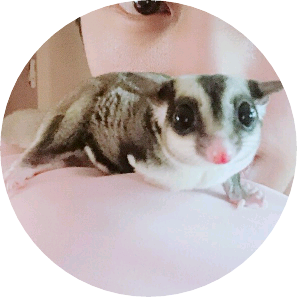 슈가글라이더/박여주 image