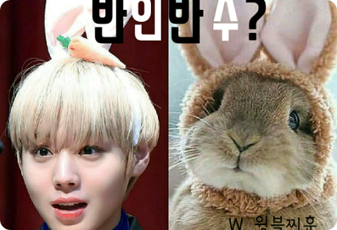 반인반수? thumbnail