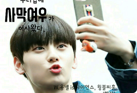 우리집에 사막여우가 이사왔다 thumbnail