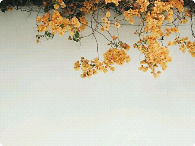 그녀의2중생활 thumbnail