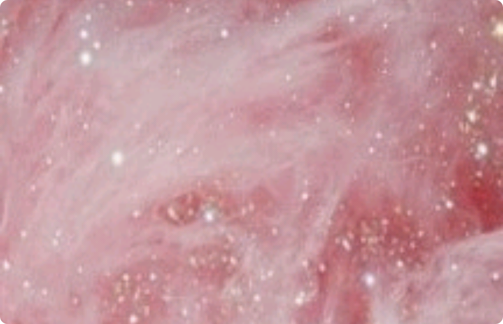 吸血鬼の家族 thumbnail