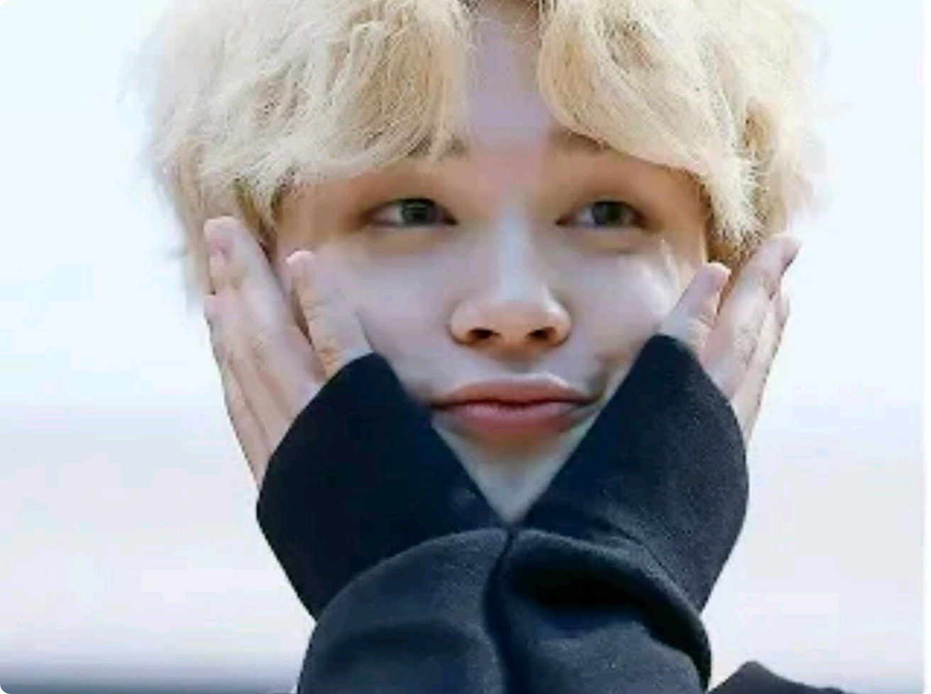 ペット男の子猫（19 thumbnail