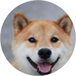 별이 image