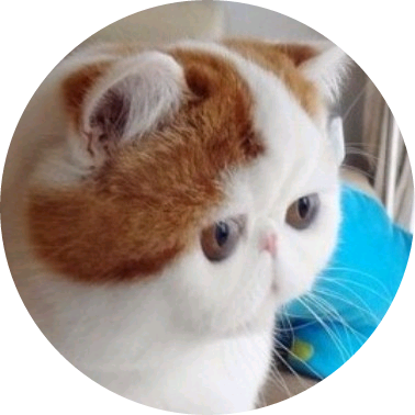 자까 돼지 고냥 image